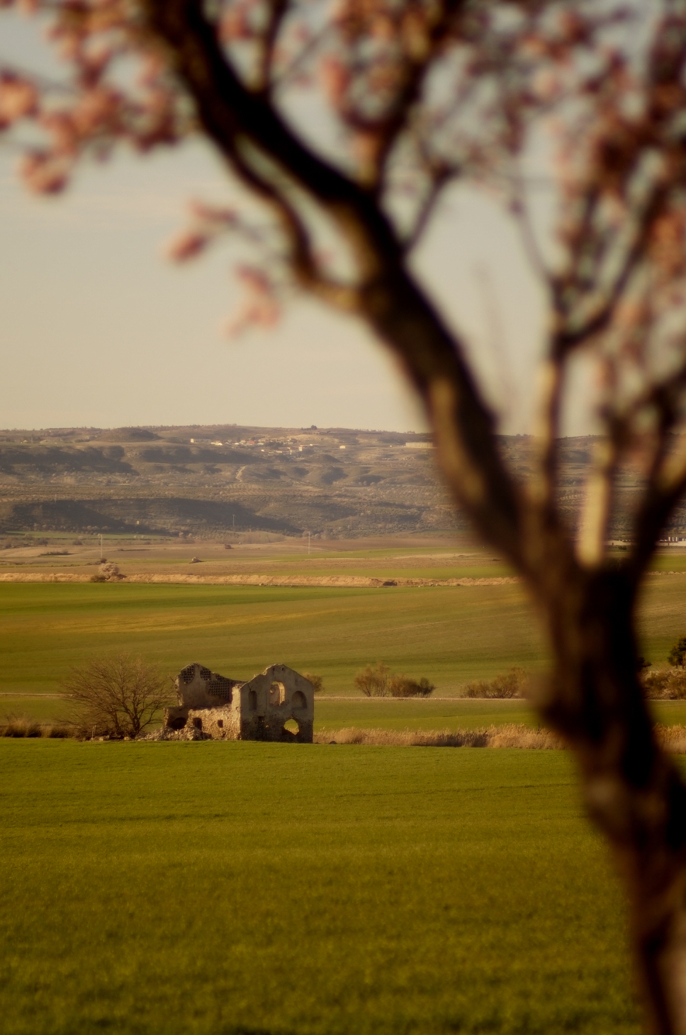  Tuve que fotografiarla y ampliar después la foto en la cámara para poder verla bien. 
