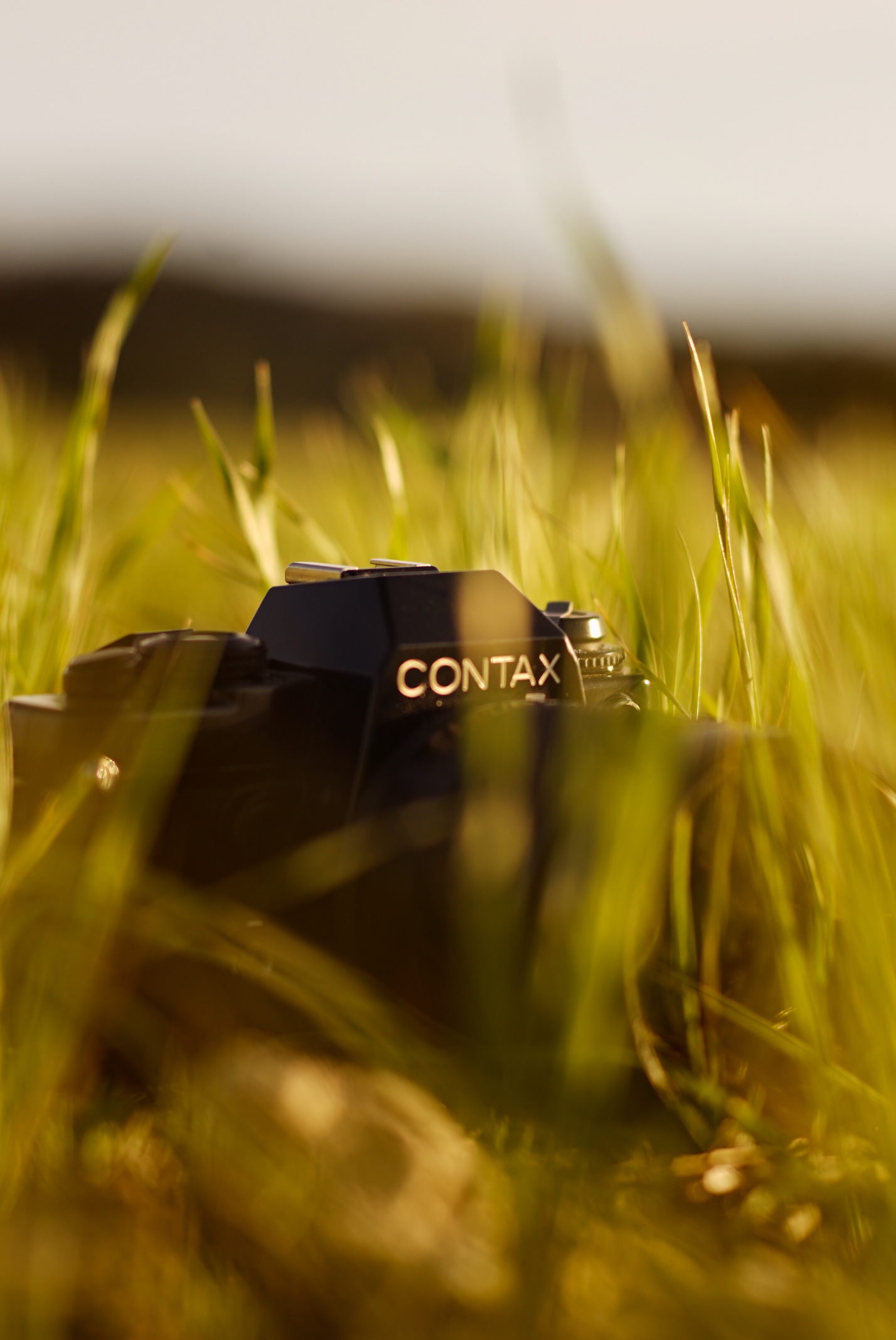  Aquí la Contax 139 que por ir sin correa tenía que dejarla en el suelo cuando usaba la otra&nbsp; 